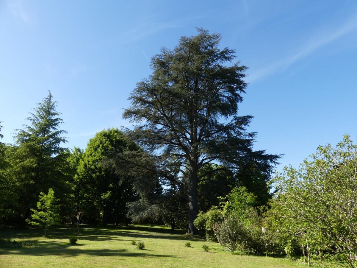 Le Petit Chateau - Adults Only Property Льо Бюг Екстериор снимка